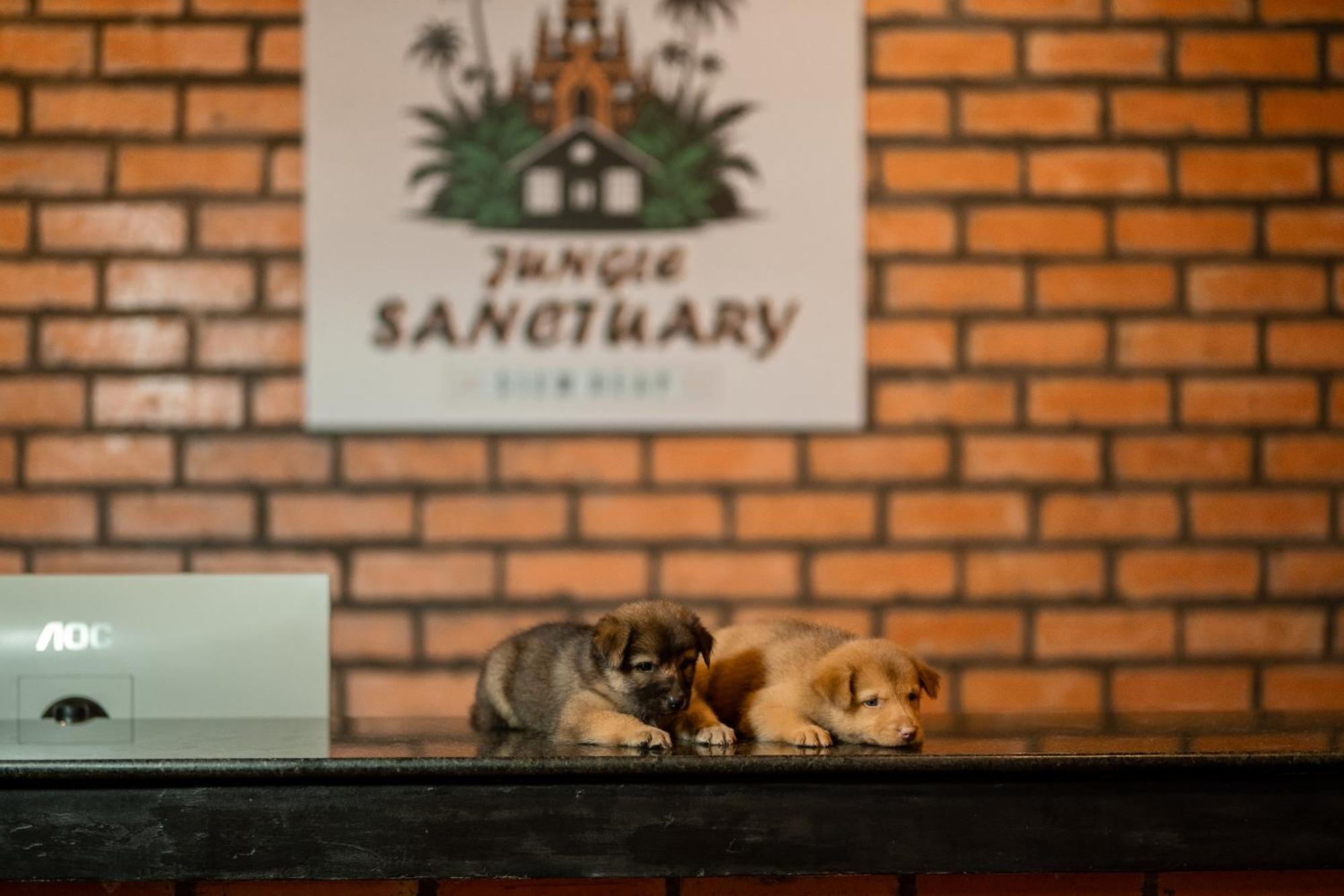 Jungle Sanctuary Hotel Sziemreap Kültér fotó